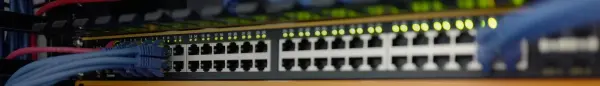 Peplink Splitter Max Anten — Anten ve Aksesuar (sd-wan, Türkiye)
